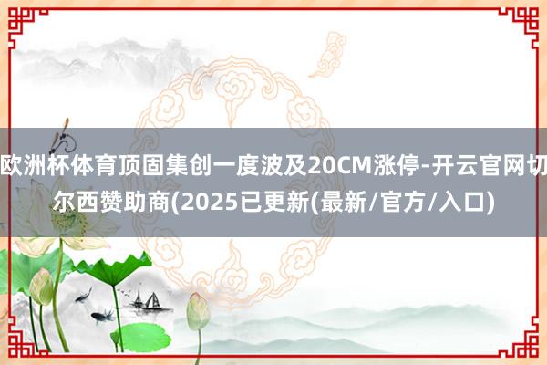 欧洲杯体育顶固集创一度波及20CM涨停-开云官网切尔西赞助商(2025已更新(最新/官方/入口)