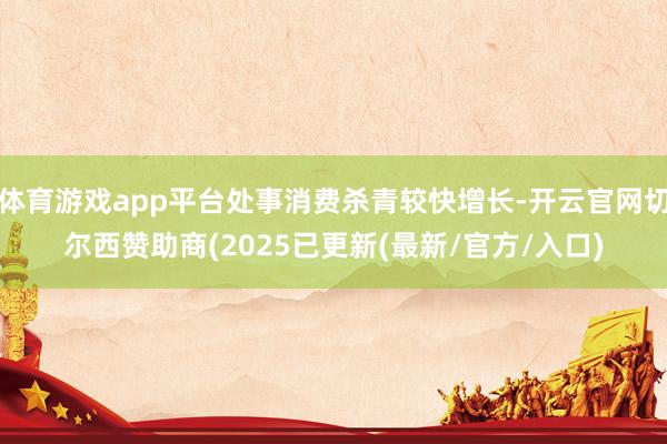 体育游戏app平台处事消费杀青较快增长-开云官网切尔西赞助商(2025已更新(最新/官方/入口)