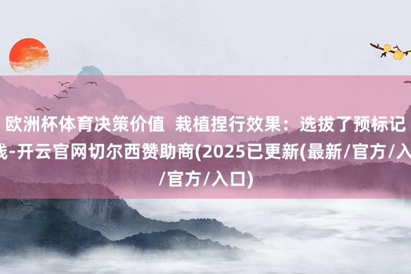 欧洲杯体育决策价值  栽植捏行效果：选拔了预标记跳线-开云官网切尔西赞助商(2025已更新(最新/官方/入口)