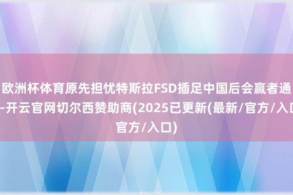 欧洲杯体育原先担忧特斯拉FSD插足中国后会赢者通吃-开云官网切尔西赞助商(2025已更新(最新/官方/入口)