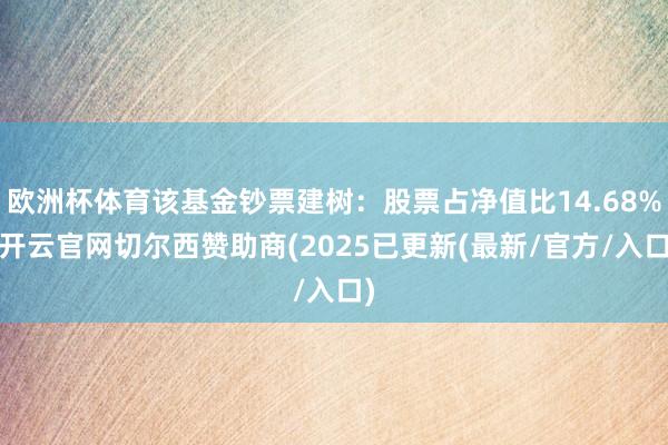 欧洲杯体育该基金钞票建树：股票占净值比14.68%-开云官网切尔西赞助商(2025已更新(最新/官方/入口)