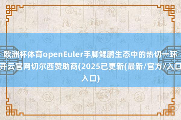 欧洲杯体育openEuler手脚鲲鹏生态中的热切一环-开云官网切尔西赞助商(2025已更新(最新/官方/入口)