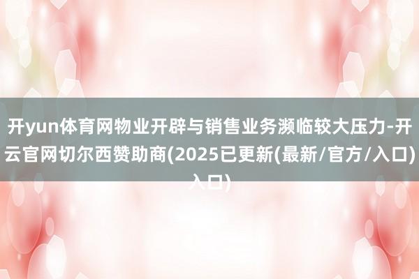 开yun体育网物业开辟与销售业务濒临较大压力-开云官网切尔西赞助商(2025已更新(最新/官方/入口)